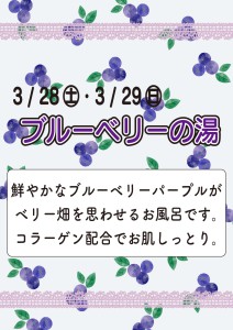 2603ブルーベリー