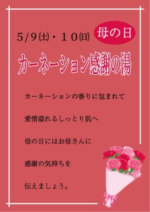 2605カーネーション