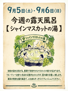 2609シャイン